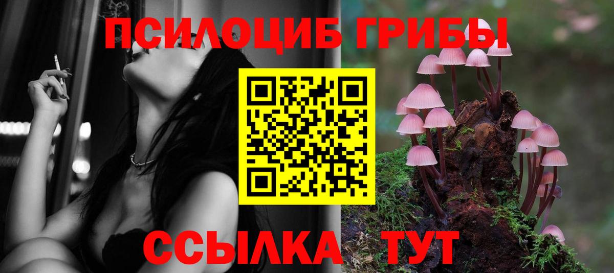 Галлюциногенные грибы прущие грибы Екатеринбург