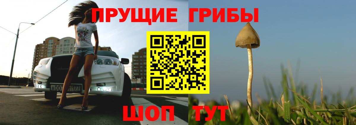 Псилоцибиновые грибы GOLDEN TEACHER  Вход с VPN  Екатеринбург 
